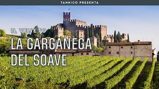 La Garganega del Soave | Tannico Flying School