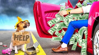 Rich Guy Saved Poor Dog from the TRASH CAN! *Coolest DIY and Gadgets for Pets*