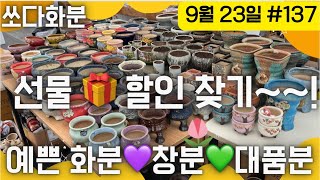 137차 화분판매   #쏘다화분🪴 9월 23일 | 예쁜 다육이 화분 | #다육이화분 #다육이 수제 국산 화분 창분 콩분 대품분 이벤트 선물