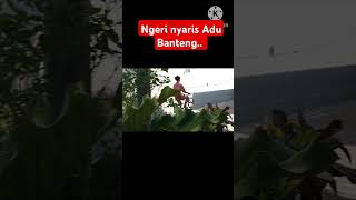 Atraksi gokil sepeda bmx