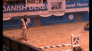 CSI** Eva og Chagall Alfarvad Z