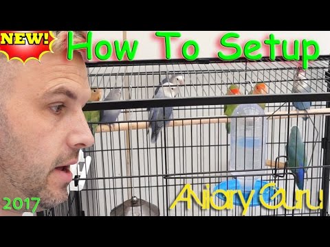 How to Setup a cage for Pet Lovebirds ! Lovebird care 2017 ! How to Setup a cage for Pet Lovebirds ! Lovebird care 2017 !
