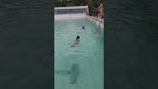 #swimming  #সাঁতার #pabnaswimmingpool #pabna #bangladesh #babyswimming  #funny #baby #cutebaby #bd