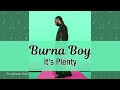 Burna Boy - It's Plenty (Lyrics Video)