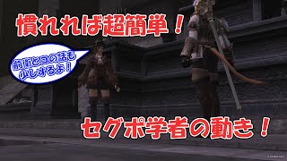 【FF11】セグポ稼ぎでの学者の動きを軽く解説！