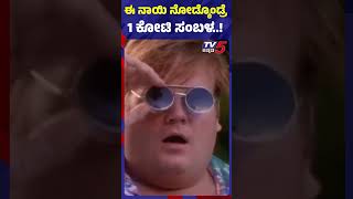 ಈ ನಾಯಿ ನೋಡ್ಕೊಂಡ್ರೆ 1 ಕೋಟಿ ಸಂಬಳ..! #tv5kannada