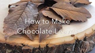 How to Make Chocolate Leaves