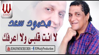 محمود سعد - لا انت قلبي و لا اعرفك / Mahmoud Saad -  Wala Enta Alby Wala A'rafak