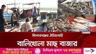 Daily sales of billions of rupees in Balikhola fish market Kishoreganj | News24