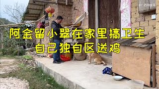 阿金留小翠在家做卫生，独自一人去送鸡，久未谋面的旺财很兴奋