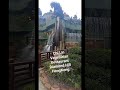 Chi Lin vegetarian reataurant at  Nan lian park,Diamond Hill HongKong  #fypシ #shorts #shortvideo