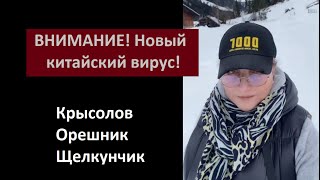 ВНИМАНИЕ! Новый китайский вирус и Крысолов № 5869