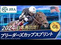 2024年 ブリーダーズカップスプリント（G1）| ストレートノーチェイサー | JRA公式