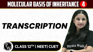 Molecular Basis of Inheritance 04 | Transcription | Pure English | 12th / NEET/CUET