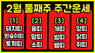 [12띠별 타로] 2월 둘째주 일주일운세 (2.10.월-2.16.일)