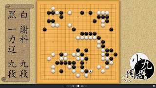 今日应氏杯决赛五番棋第一局：谢科猛烈追杀，一力辽大龙层层突围