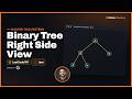 Binary Tree Right Side View - LeetCode 199 | Tree BFS / Level Order (Java)