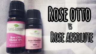 Rose Otto vs Rose Absolute | Which one should I choose?