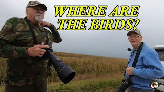 LOOKING FOR BIRDS IN 12,000 ACRES ON A RAINY DAY