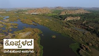 ಕೊಪ್ಪಳದ ಅಳಿವಿನಂಚಿನಲ್ಲಿರುವ ಪ್ರಬೇಧಗಳನ್ನು ಉಳಿಸುವ ಪ್ರಯತ್ನದಲ್ಲಿ