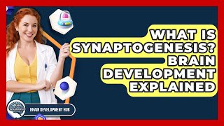What Is Synaptogenesis? Brain Development Explained - Brain Development Hub