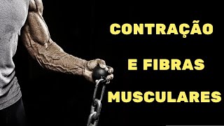 Tipos de contração e fibras musculares – Fisiologia Humana