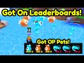 F2P Noob Got On Leaderboards & OP Pet Team In Tapping Legends Final! (Roblox)