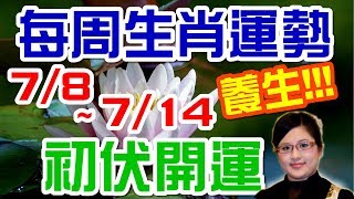 2019生肖運勢週報｜07/08-07/14｜金玲老師（有字幕）
