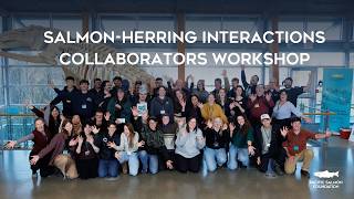 Salmon-Herring Interactions Collaborators Workshop Highlights