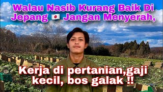 Curhat Nasib Kerja Di Jepang Kurang Baik