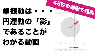 【高校物理】　単振動　-変位・速度・加速度　を45秒で理解-