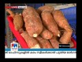 alappey horticorp face crisis manorama news