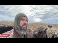 public land puddle duck hunting coastal north carolina feet down in the decoys