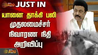 யானை தாக்கி பலி...முதலமைச்சர் நிவாரண நிதி அறிவிப்பு | M K Stalin | Elephant | Thiruchendur