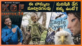 మనిషికి డేగ కళ్ళు ఉంటే? | Mindblowing Facts In Telugu | Telugu Facts | KGF-34 | KranthiVlogger