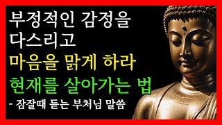 부정적인 감정 다스리고 마음을 맑게 하라│자비로운 마음으로 나아가기│현재를 살아가는 법│마음의 안식처 만들기│부처님말씀│부처님가르침│수면명상│오디오북