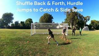 071123 Shuffle Back \u0026 Forth, Hurdle Jumps, Catch \u0026 Side Save