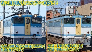 〈またまたカラシ来阪!!〉EF65-2127【新】＋コキ 5087レ,配1792レ,単1483レ,75レ全て追いかけ回す!!