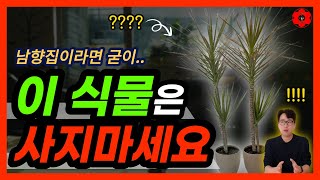 [실제사연] 어두운 우리집을 밝게 바꾸는 방법. 이거 하나면 바로 가능합니다. (끝까지 보면 혜택있음!)