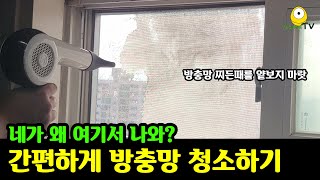 주방세제와 헤어 드라이기로 간편하게 방충망 청소하기 | 찌든 기름때로 닦기 힘든 주방 방충망 청소방법