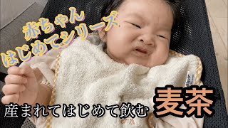 【初体験】生まれてはじめての麦茶