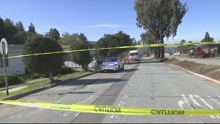 San Mateo family of four identified in murder-suicide