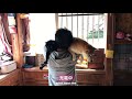 疲れて帰宅した飼い主を全力で癒してくれる犬と猫 dog and cat welcoming owners home