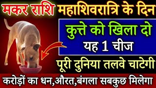 मकर राशि महाशिवरात्रि के दिन कुत्ते को खिलादो यह 1 चीज बिना कुछ करे 7 पुश्ते धन खाएगी| Makar Rashi