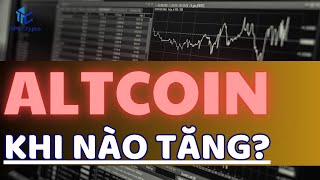 Khi Nào AltCoin Tăng? Thị Trường Giảm Nên Làm Gì - Tips Crypto