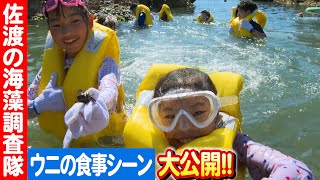 子どもたちが挑む佐渡の海！ワカメ栽培、素潜り、海藻試食会を大特集 日本財団 海と日本PROJECT in 新潟 2023 #009