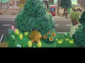 【動物森友會animal crossing】動森夢境參觀 part 1