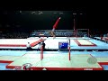 GOVOROV Dmitrii (GEO) - 2017 Artistic Worlds, Montréal (CAN) - Qualifications Parallel Bars