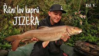 Říční lov kaprů JIZERA (River carpfishing JIZERA)