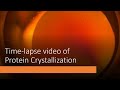 Time-lapse video of Protein Crystallization